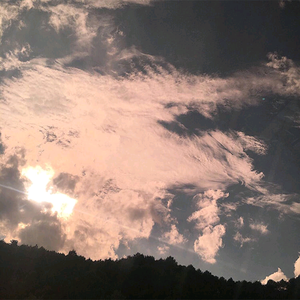 �������ξ��㹥��
